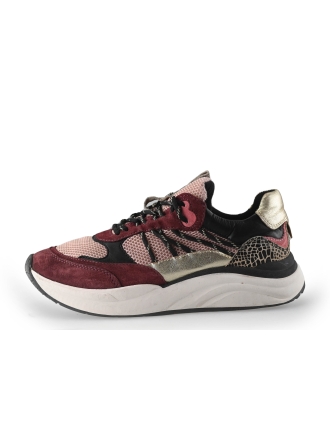Poelman Sneakers Rood 250666