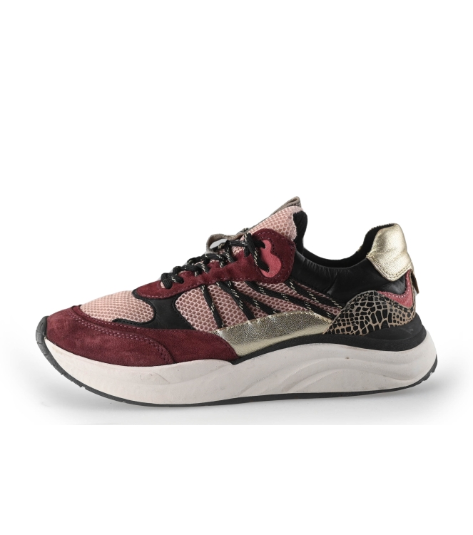 Poelman Sneakers