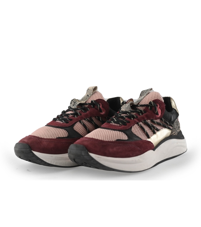 Poelman Sneakers