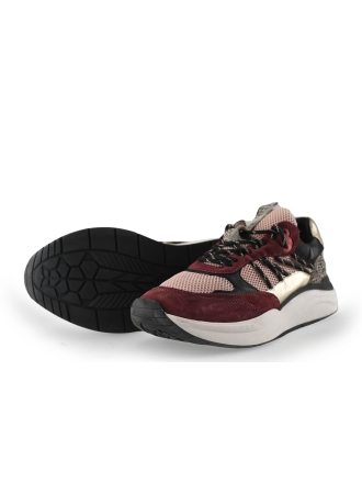 Poelman Sneakers