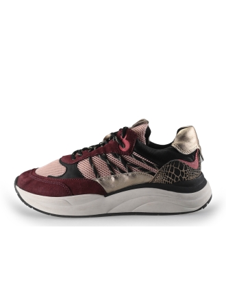 Sub55 Sneakers Paars 250699