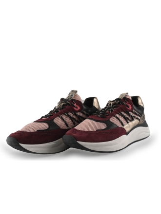 Sub55 Sneakers Paars 250699