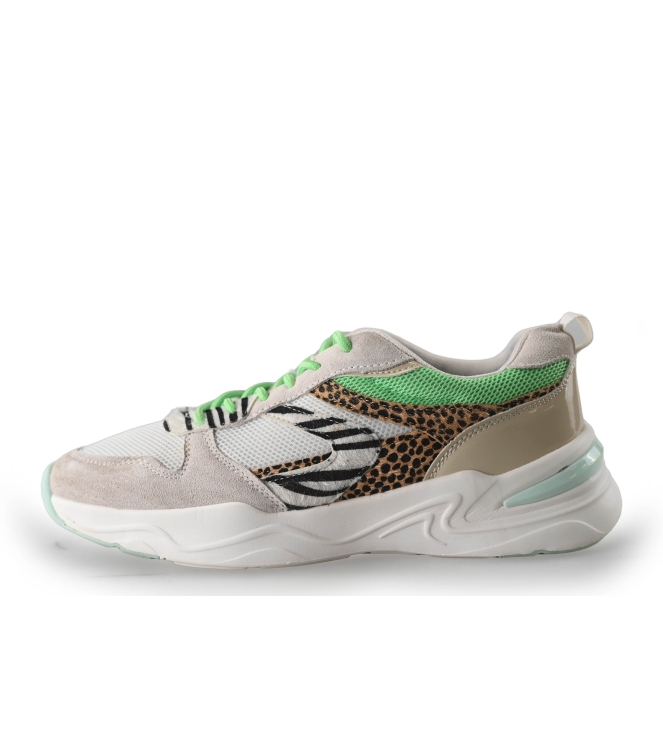 Dolcis Sneakers