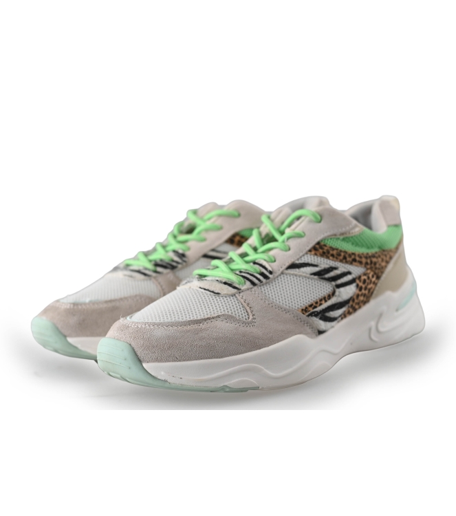 Dolcis Sneakers