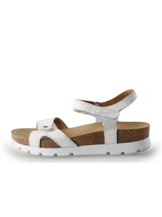 Panama Jack Sandalen Wit 264594