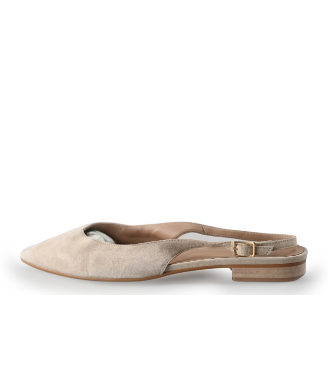 Notre-V Pumps