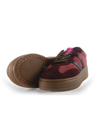 Manfield Sneakers