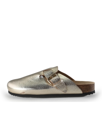 Sacha Muiltjes Goud 267701