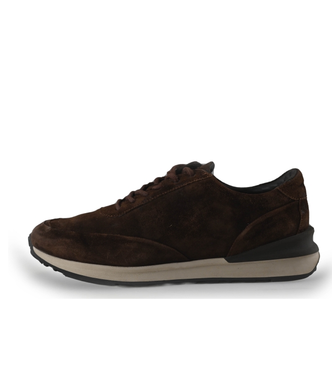 Greve Sneakers