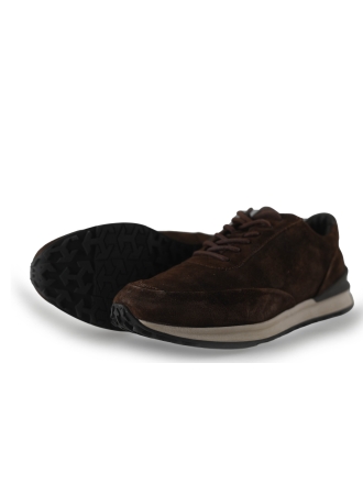 Greve Sneakers