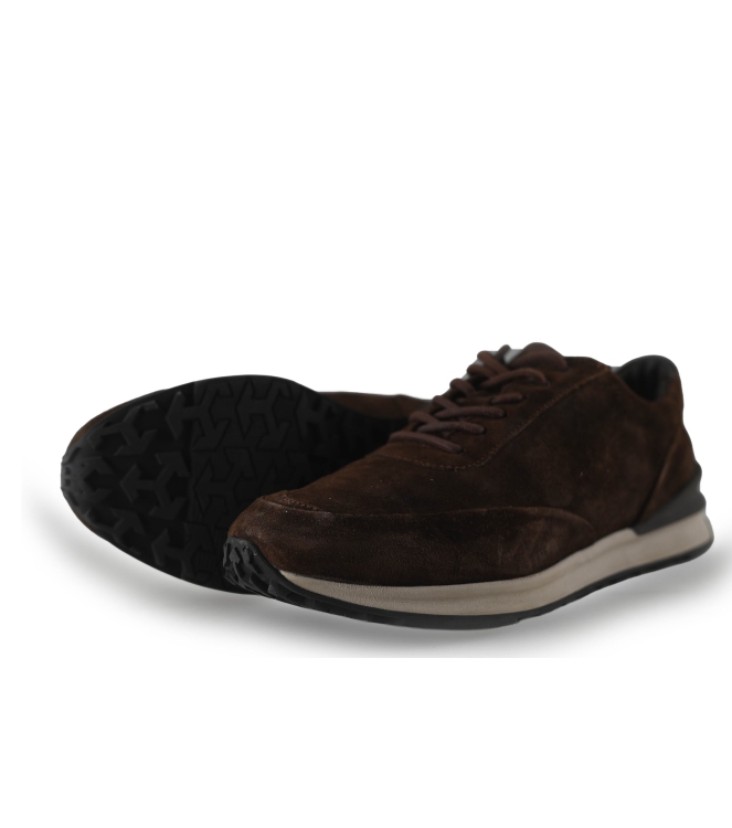 Greve Sneakers
