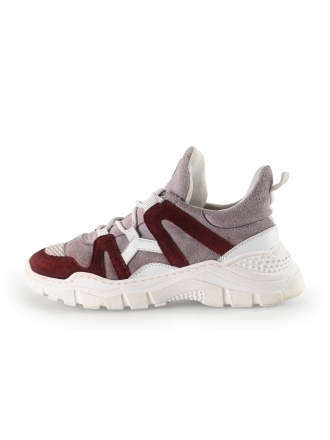 Driitoss Sneakers Roze 268389