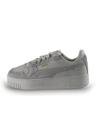 Puma Sneakers Grijs 268977