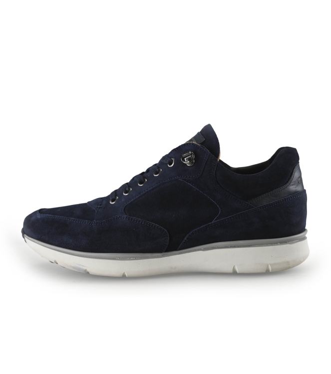 Greve Sneakers