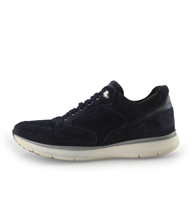 Greve Sneakers