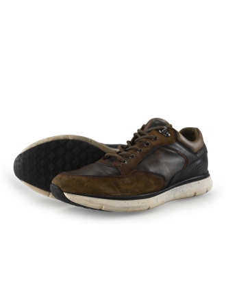 Greve Sneakers