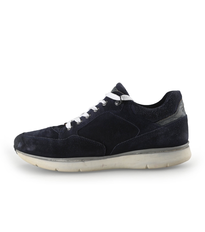 Greve Sneakers