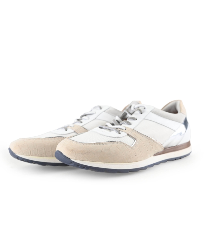 Greve Sneakers