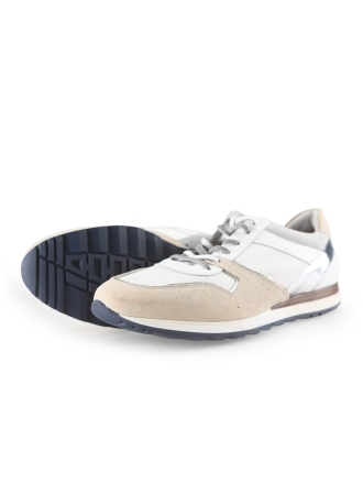 Greve Sneakers