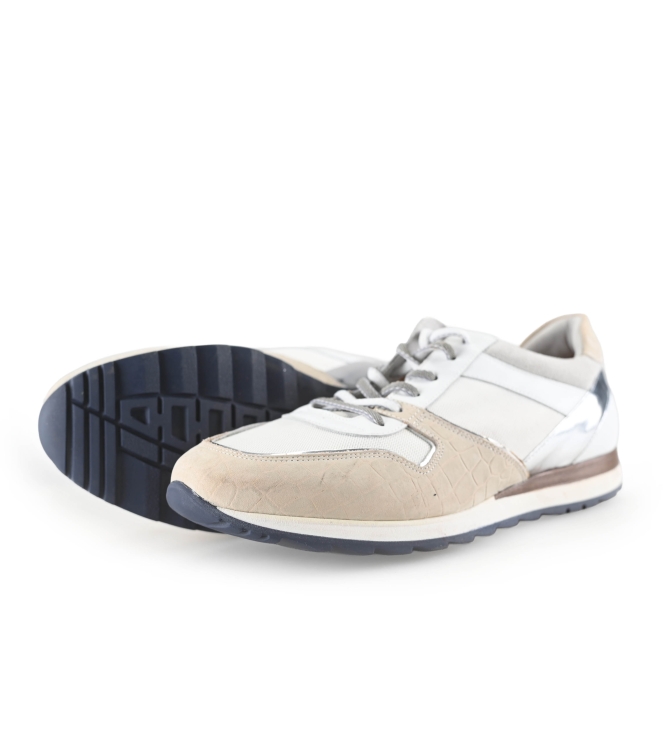 Greve Sneakers
