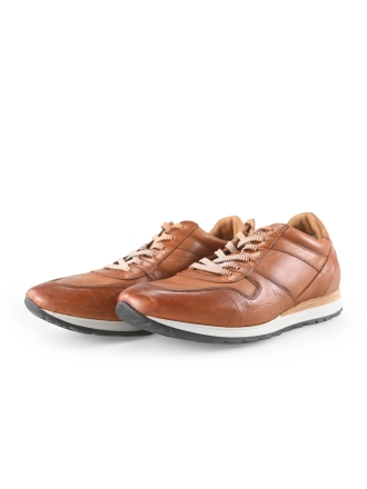 Greve Sneakers