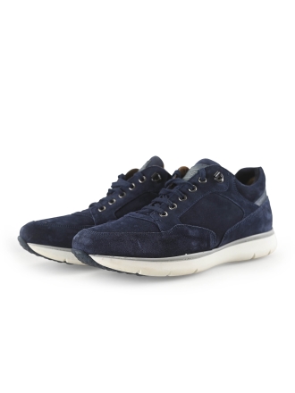 Greve Sneakers