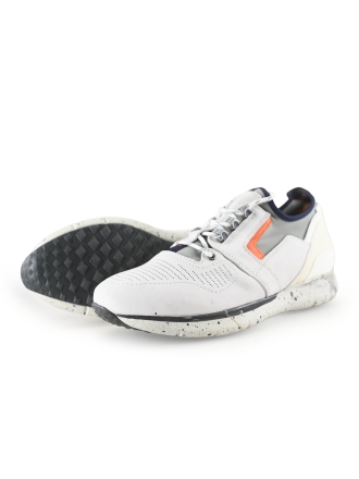 Greve Sneakers