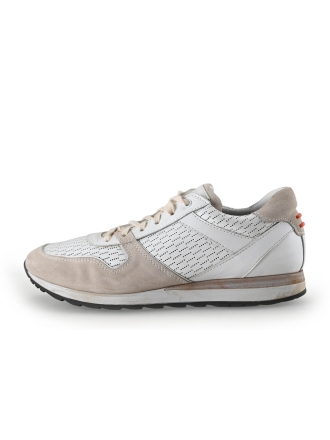 Greve Sneakers