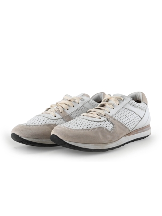 Greve Sneakers