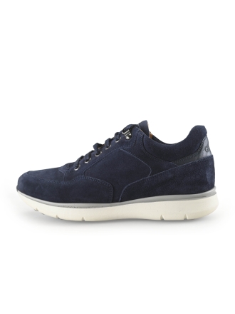 Greve Sneakers