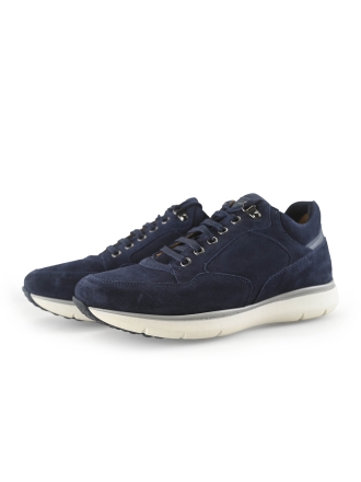 Greve Sneakers