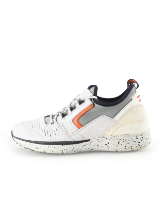 Greve Sneakers