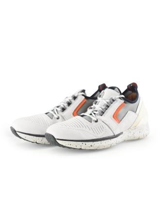 Greve Sneakers