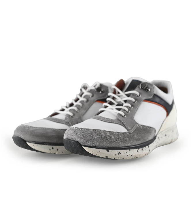 Greve Sneakers