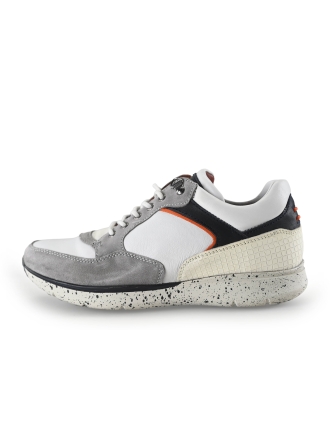 Greve Sneakers