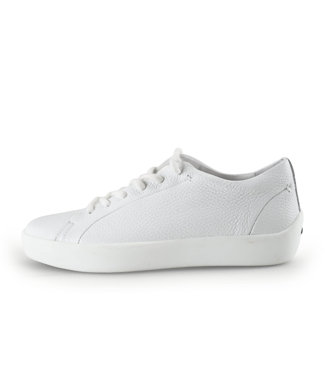 Ecco Sneakers