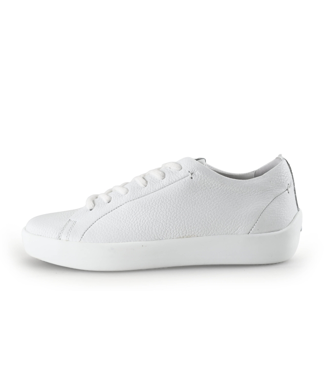 Ecco Sneakers