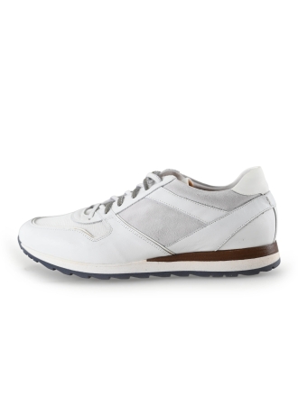 Greve Sneakers