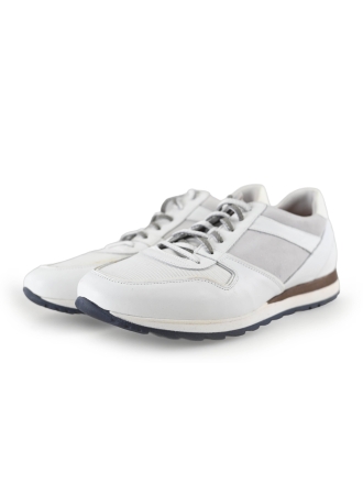 Greve Sneakers