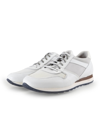 Greve Sneakers
