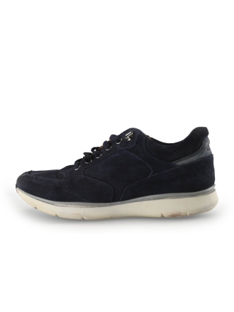 Greve Sneakers