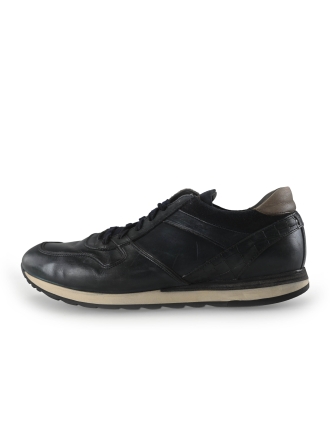 Greve Sneakers