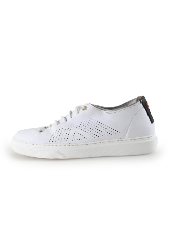 Greve Sneakers