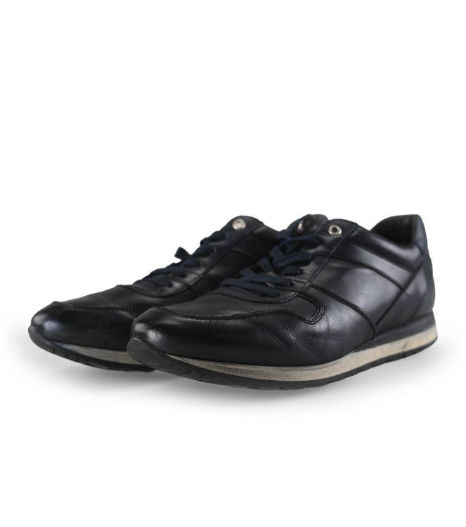Greve Sneakers