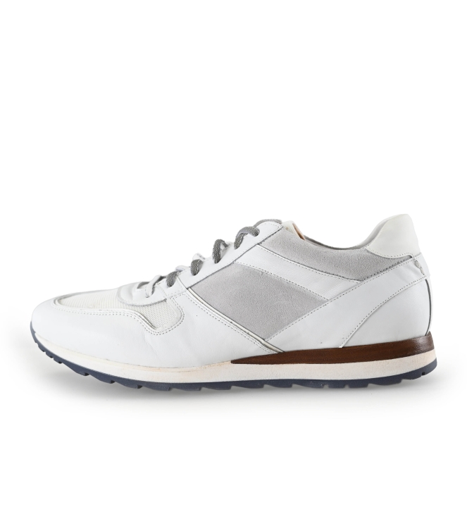 Greve Sneakers