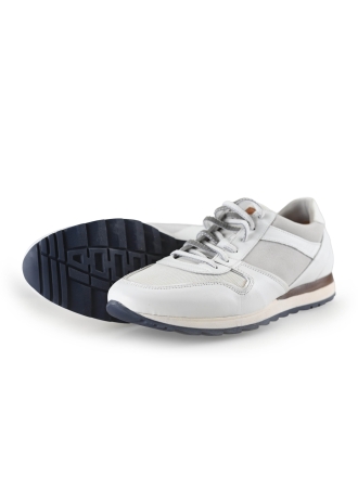 Greve Sneakers