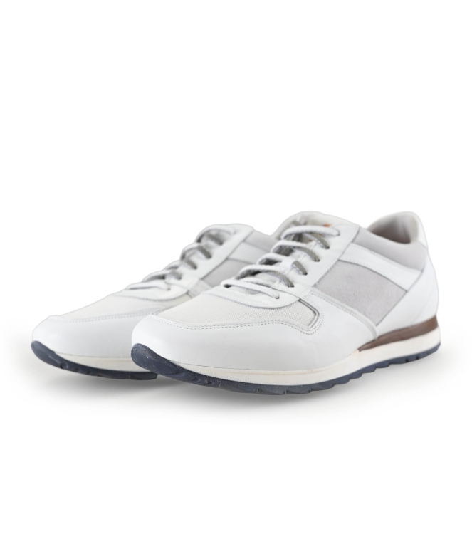Greve Sneakers