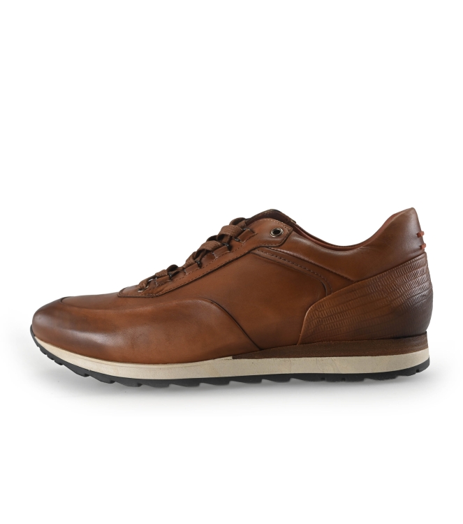Greve Sneakers