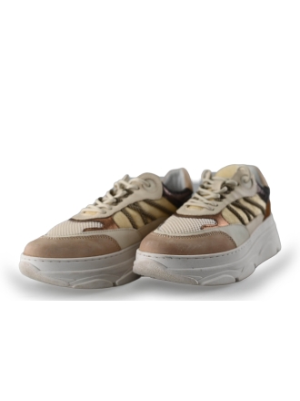 Nelson Sneakers Beige 262867