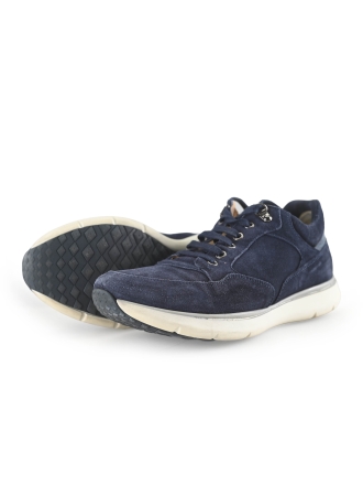 Greve Sneakers